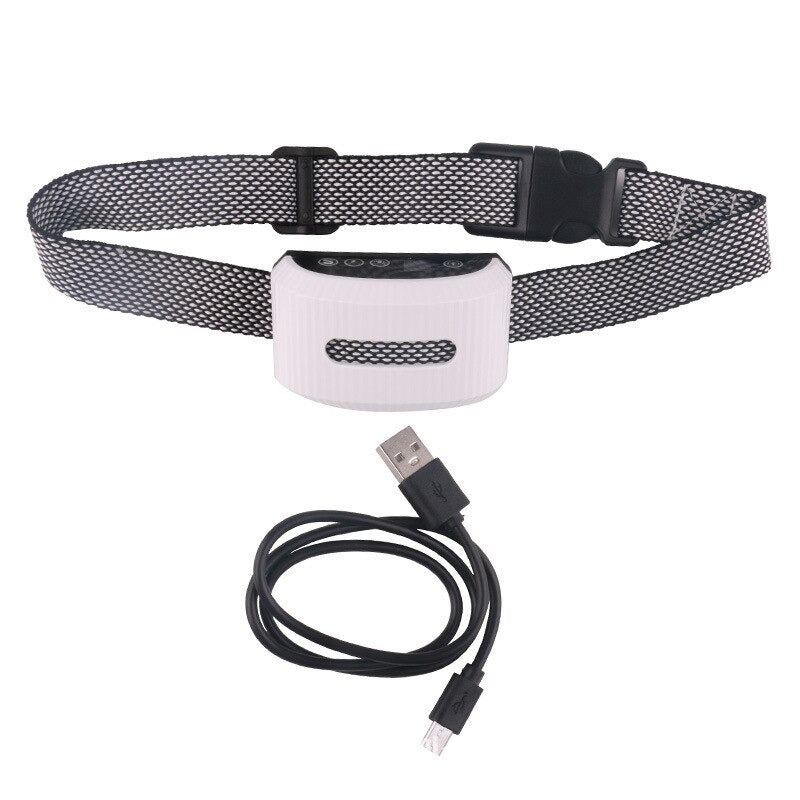 Electric Dog Training Collar