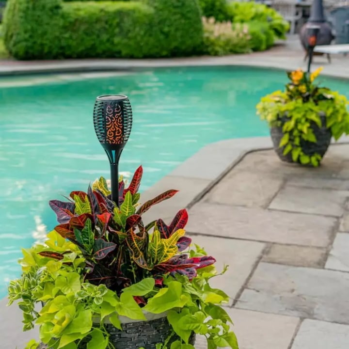 🔥Christmas Sale 60%Off- Solar LED Flame Lights Outdoors