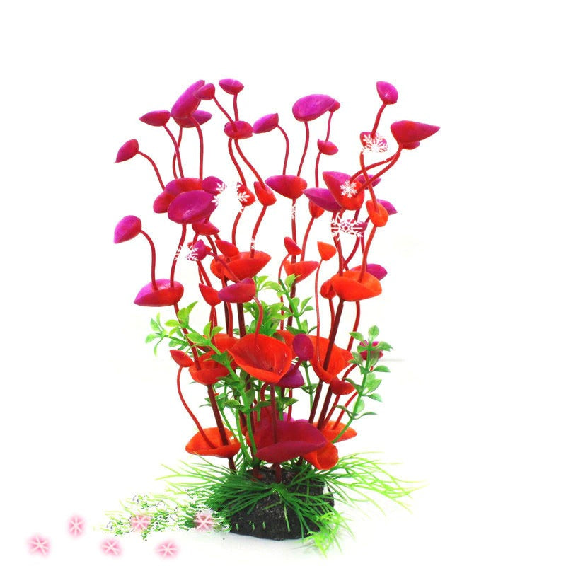 Large Aquatic Plant For Aquarium