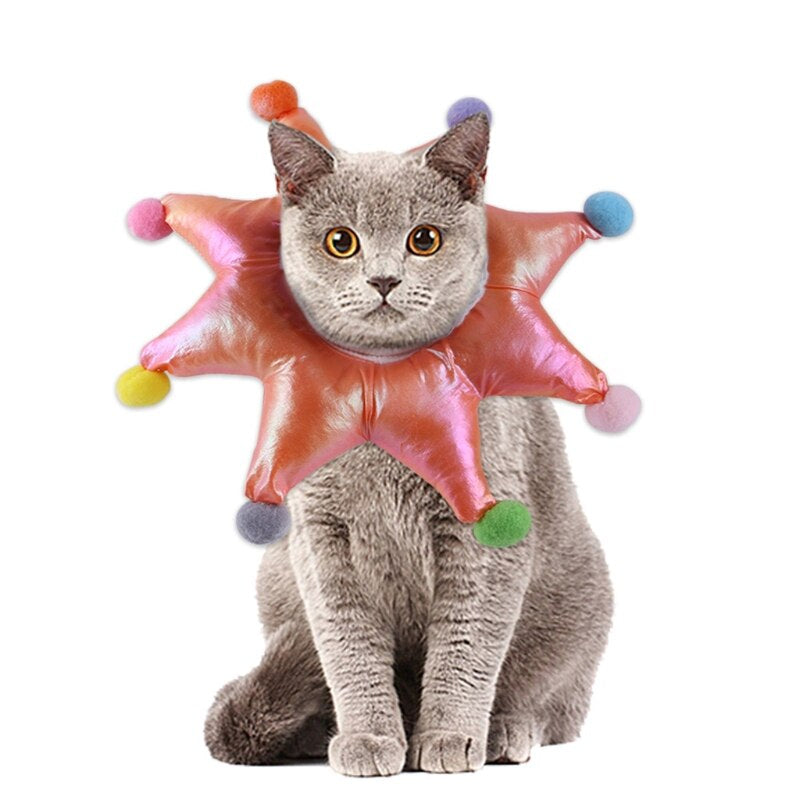Cat Recovery Collar