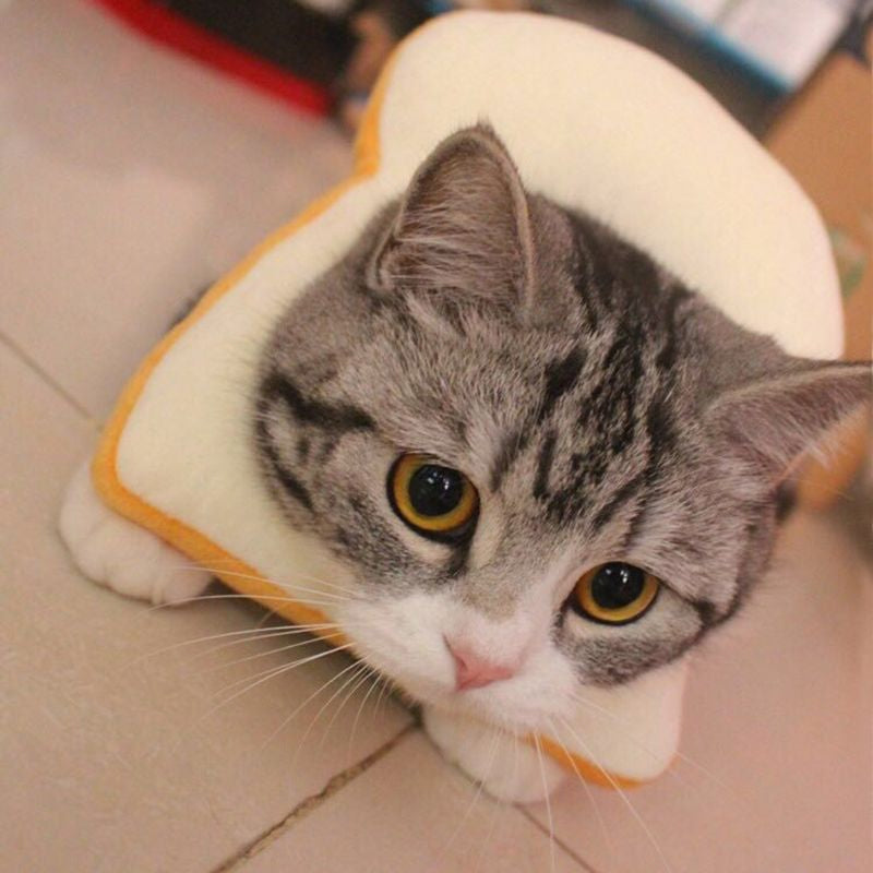 Adjustable Cat Recovery  Collar