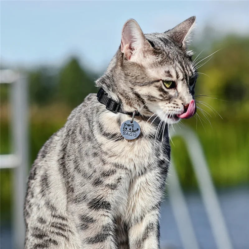 Personalized Pet ID Tag Custom Engraved