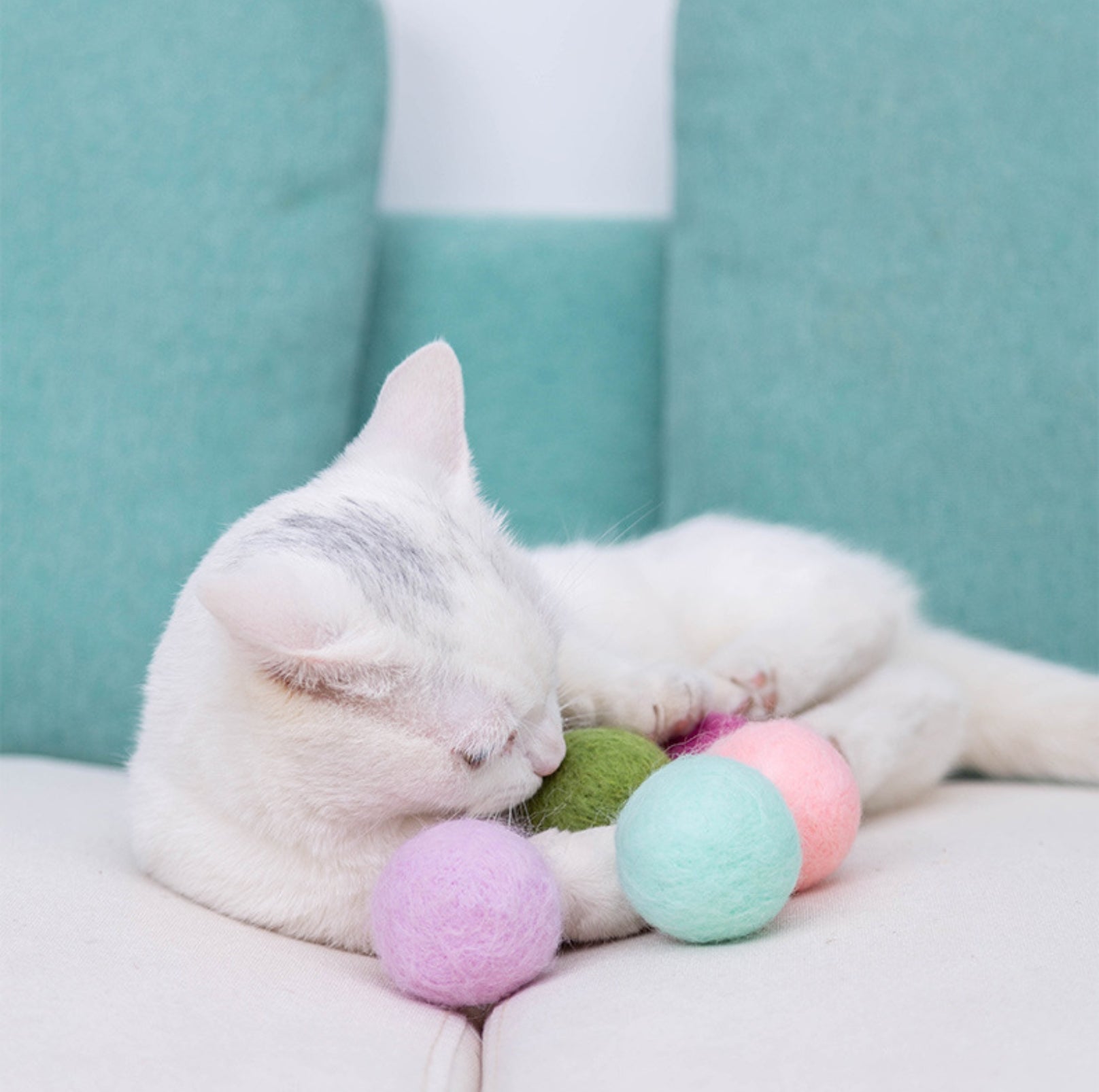 Colourful Woolen Cat/Dog Toy Ball Set (6pcs/comes with random colour)