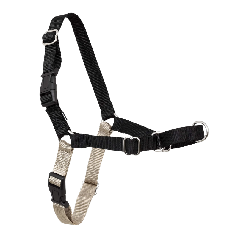 Tangle Free Strap Designed Pet Leash