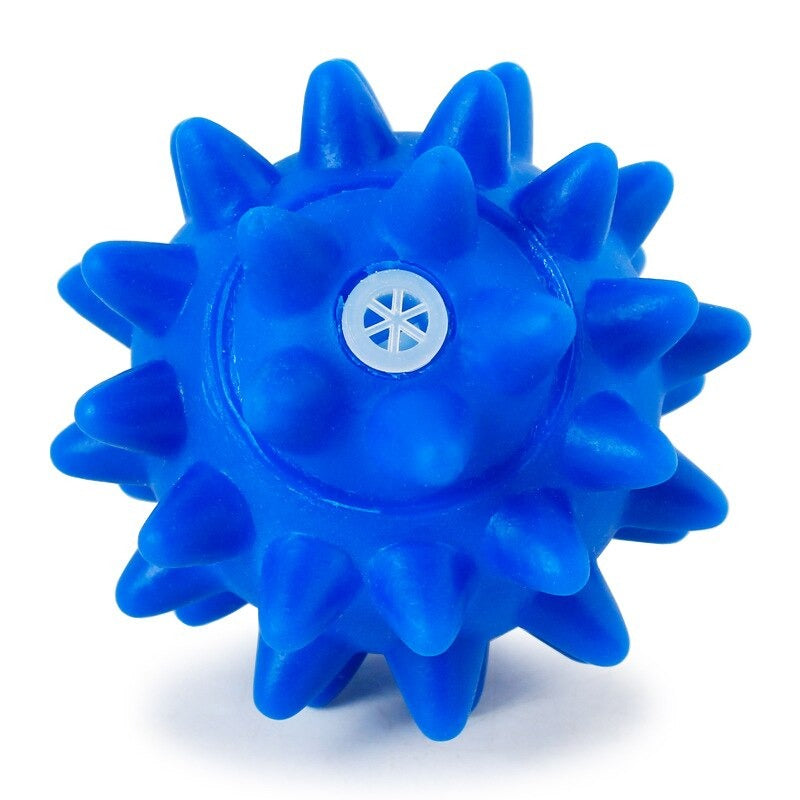 Dog Squeak Toys