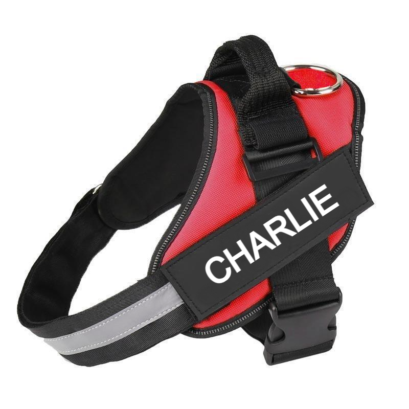 Custom No Pull Dog Harness with Name and Phone Number. Heavy Duty Personalized Pet Vest