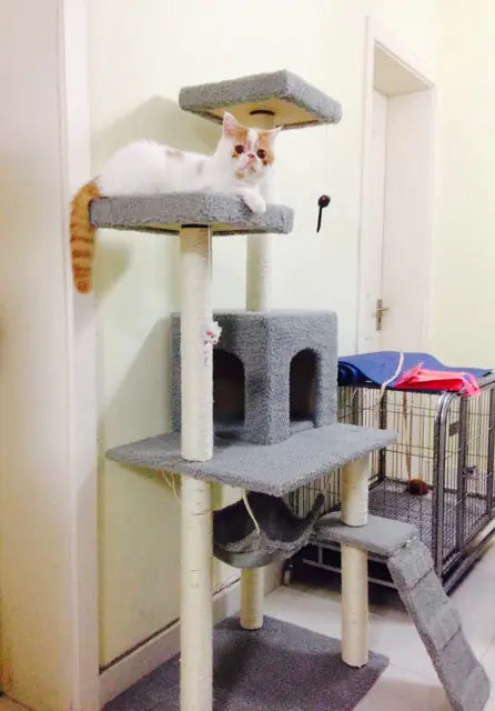 Climb & Scratch Cat Activity Center