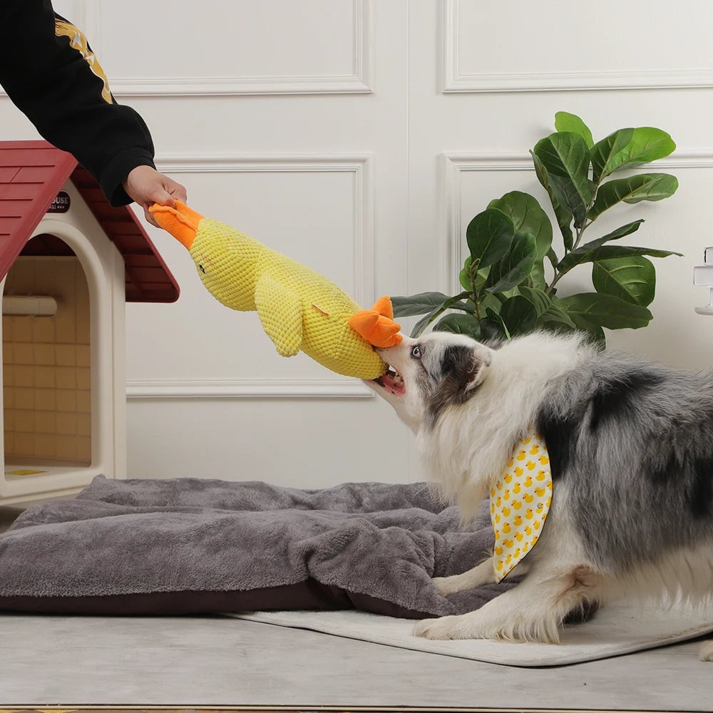 🦆Quack-Quack Duck Dog Toy