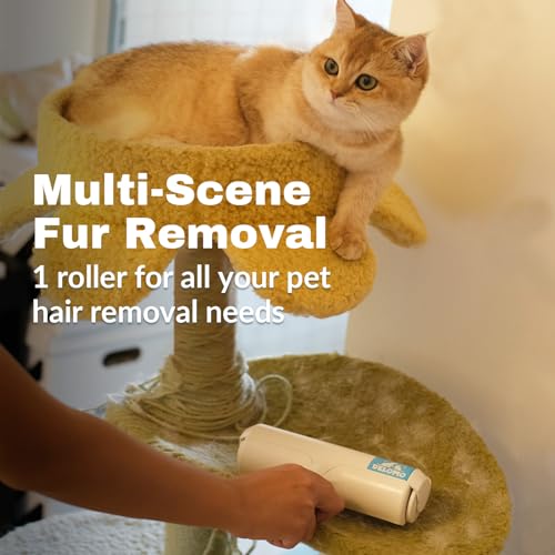 Pet Hair Remover - Lint Roller for Pet Hair - Cat and Dog Hair Remover for Couch. Furniture. Carpet. Car Seat. Reusable Roller W/Self-Cleaning Base - Upgraded Animal Fur Removal Tool