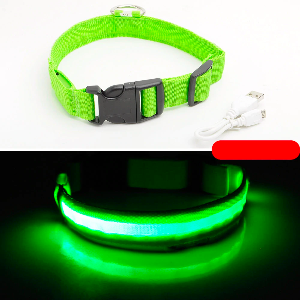 LED Dog Collar - USB Rechargeable - Glow In Dark