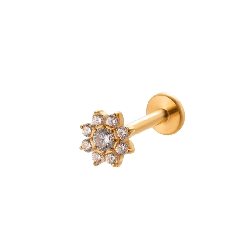 1 Piece Ear Cartilage Rings & Studs IG Style Vintage Style Leaves Heart Shape Bee Pure Titanium Plating Inlay Zircon