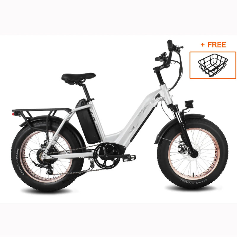 🔥 Agle Long Range 100 Miles Electric Bicycle