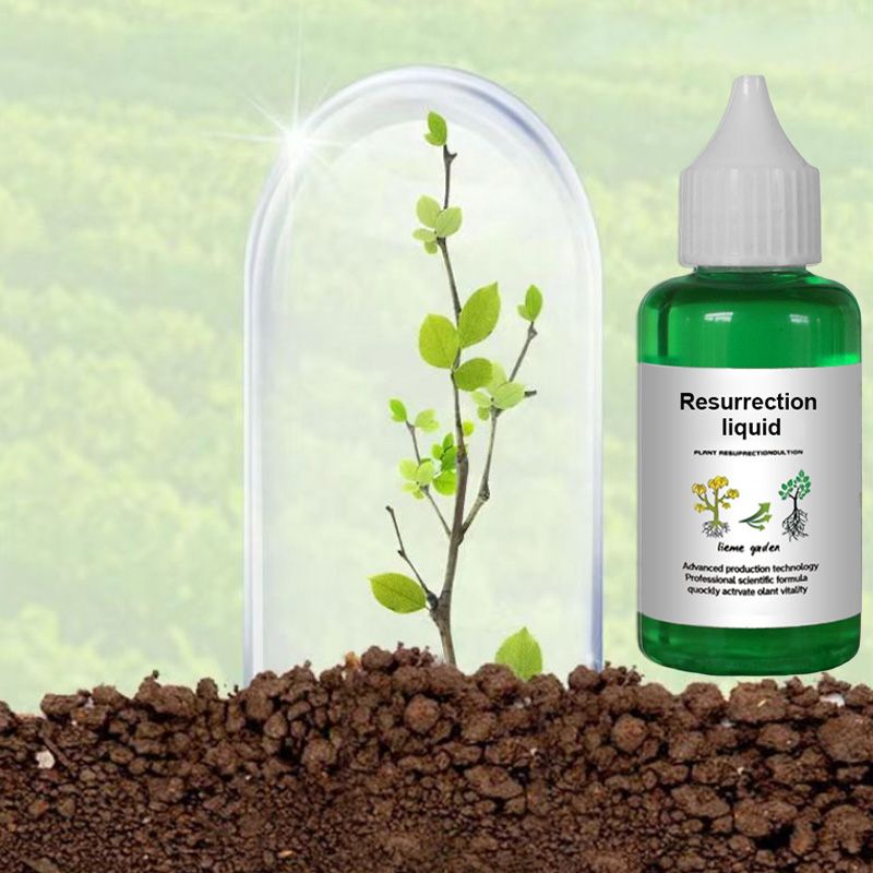 👍[Recommended by plant experts]🌿Plant and Flower Activation Liquid Solution