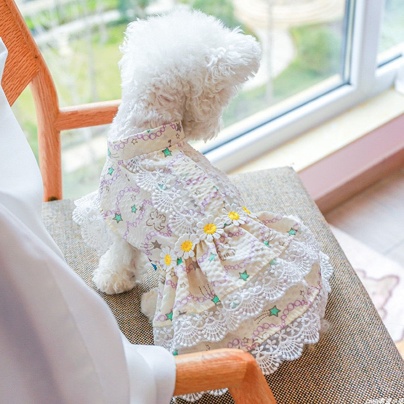 Lace Design Floral Dog Cat Dress