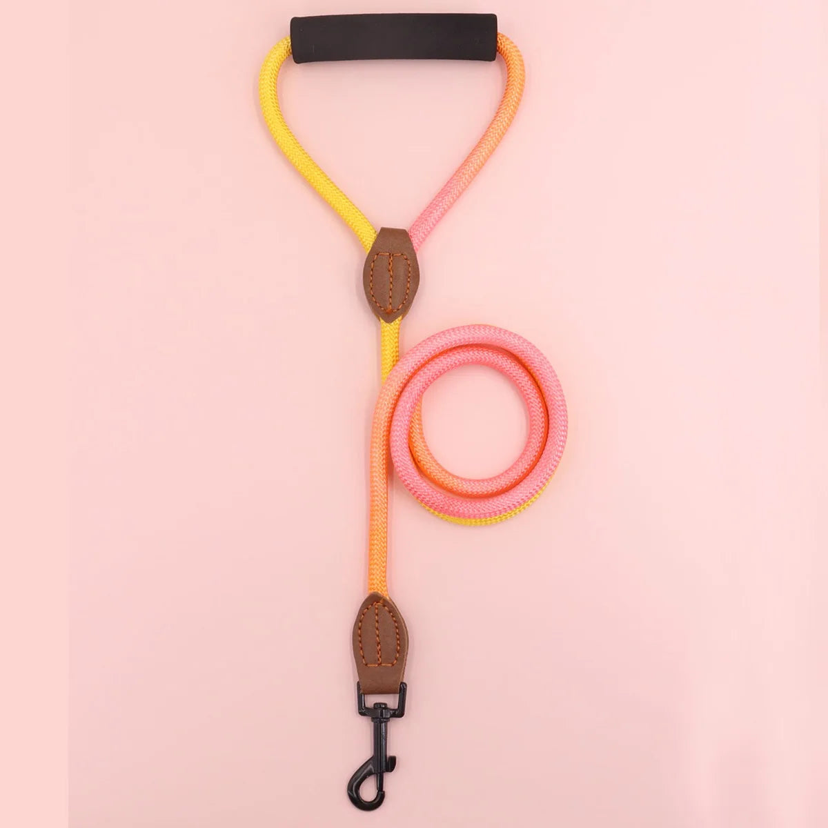 Gradient Dog Leash