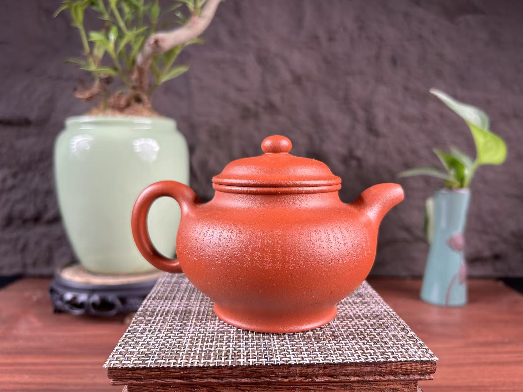 20250812-4-掇只（荷花）