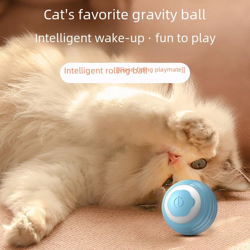 Interactive Cat Toy Teaser Wand Toy Feather For Indoor Cats Fun Exercise Play For Kittens