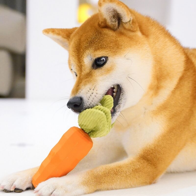 Carrot Squeaky Toy Durable Dog Chew Toy