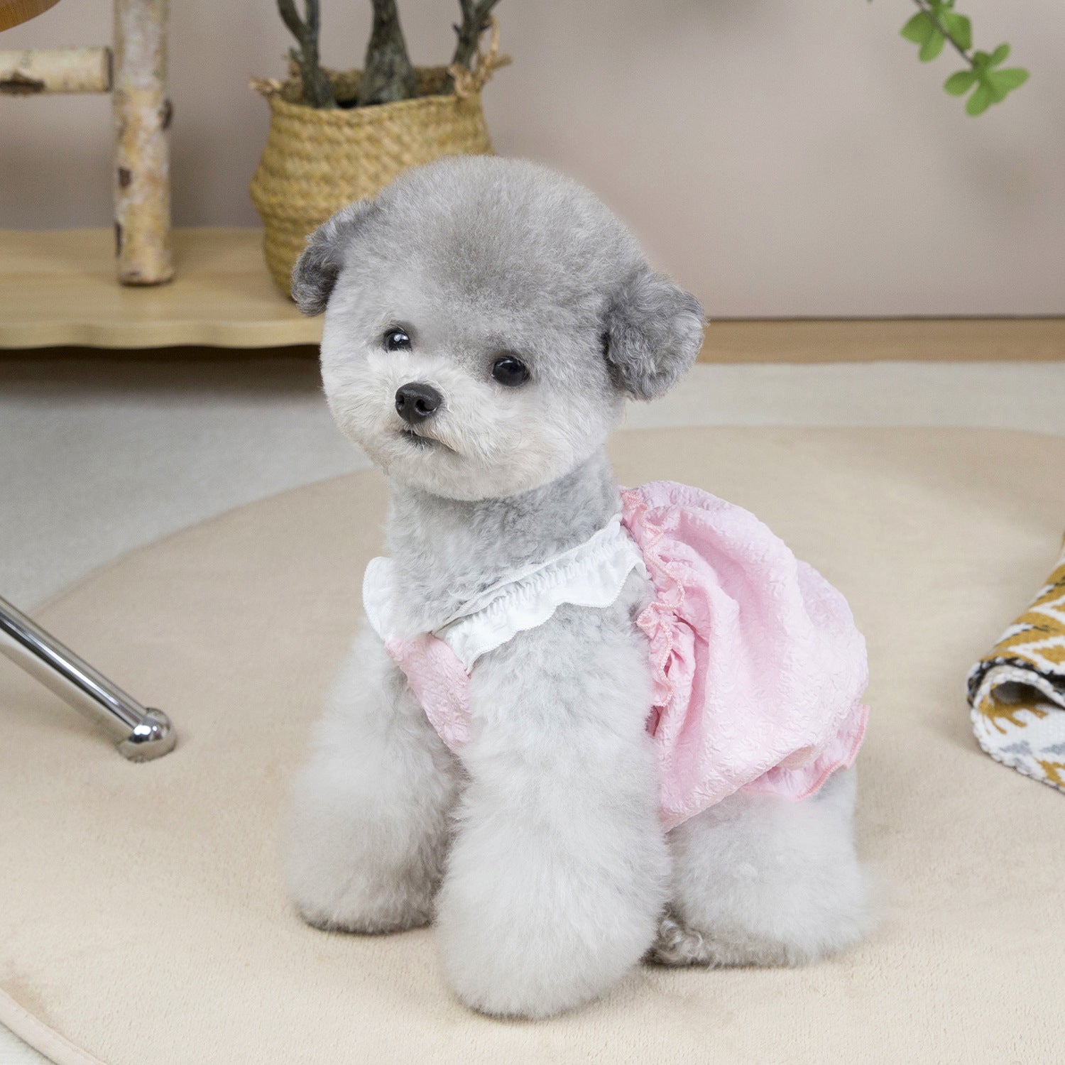 Solid Color Ruffled Puffy Dog Cat Dress
