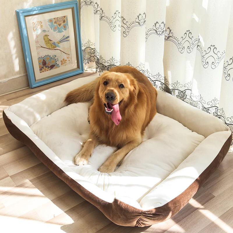 Comfy paw pet bed - XL - For cats & Small breed dogs_