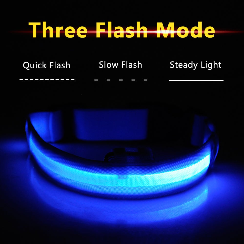 LED Dog Collar - USB Rechargeable - Glow In Dark