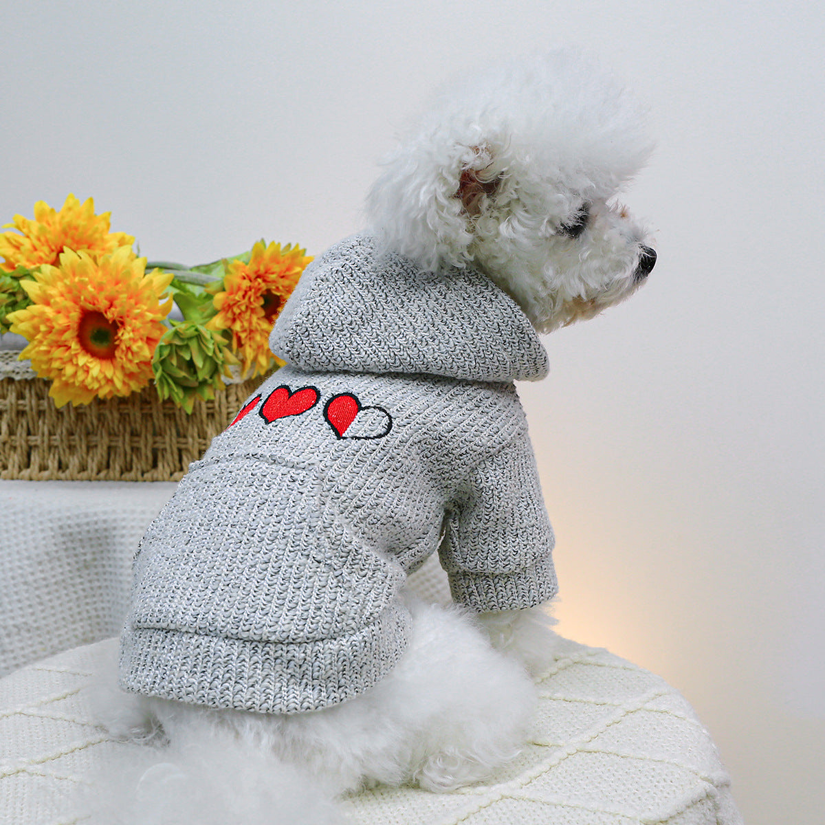 Little Heart Printed Dog Hoodie