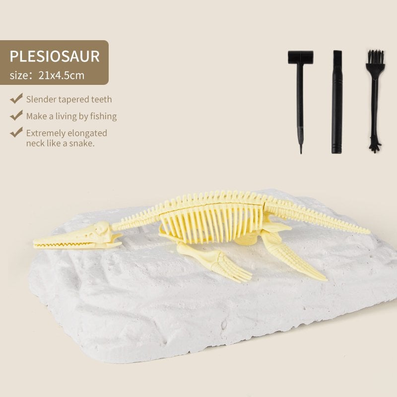 Great Educational Toy for Kids🎁2022 New Arrival Dinosaur Fossil Digging Kit - Get Three Tools For Free🔥