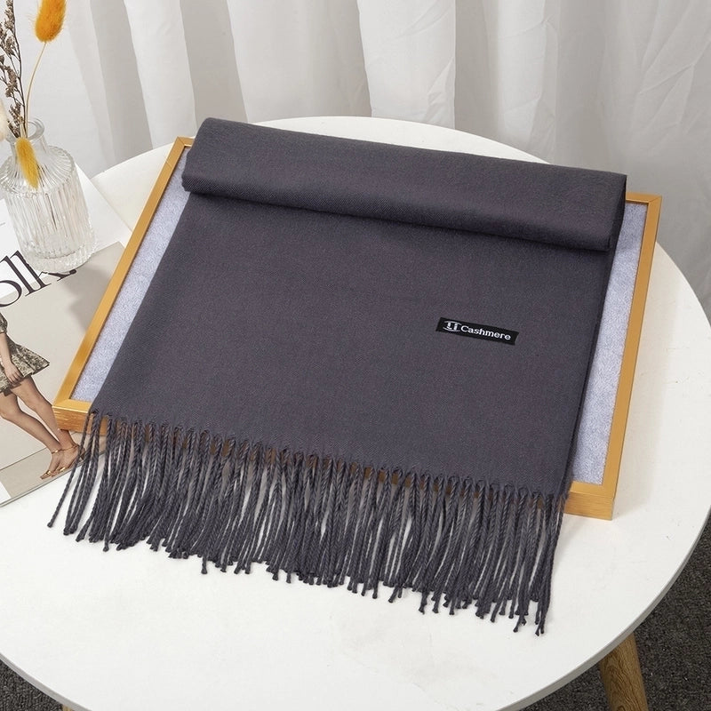 Women's Minimalist Solid Color Imitation Cashmere Tassel Scarf