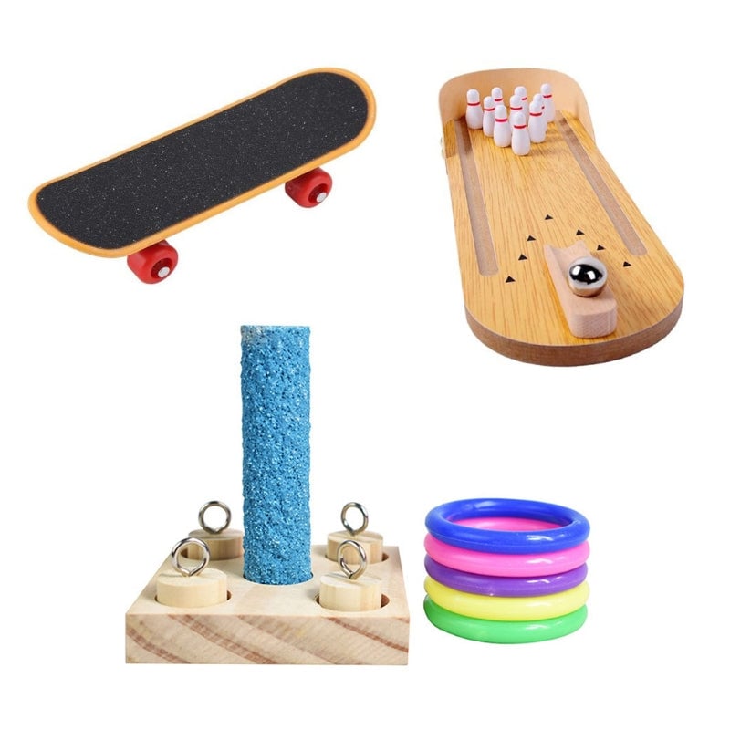 Training Chewing Bird Toys Set