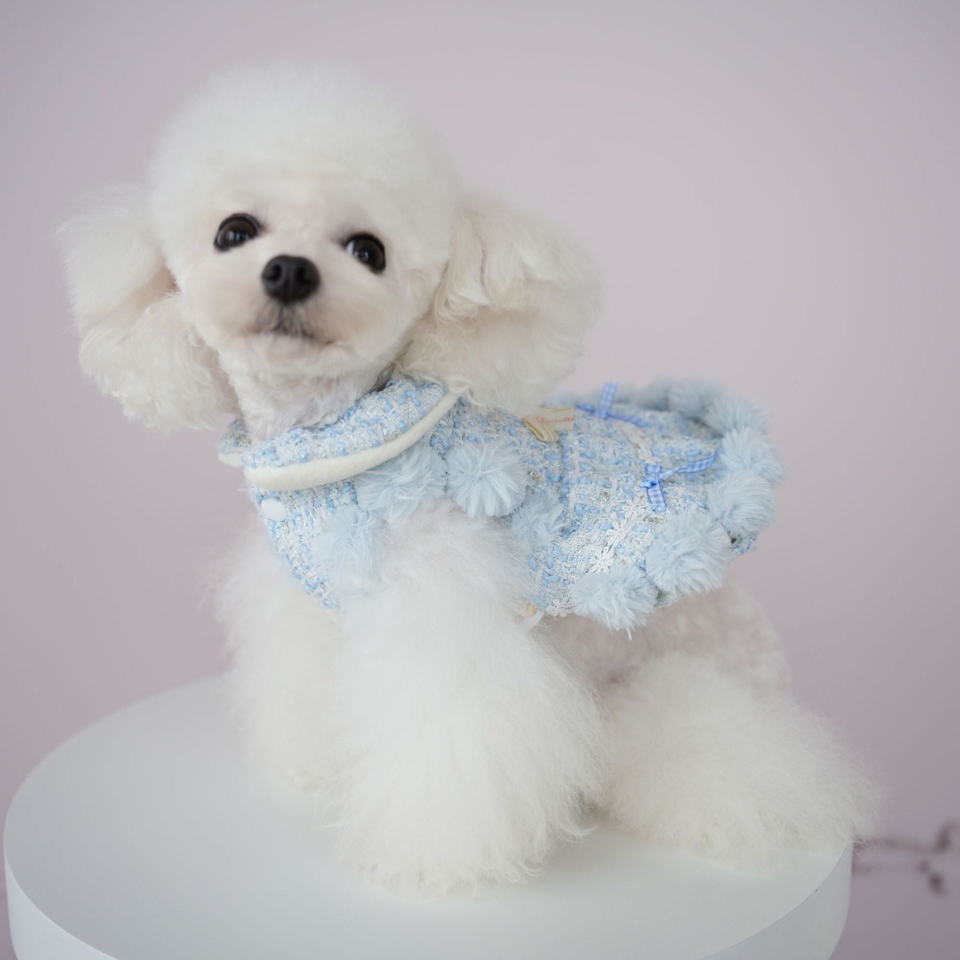 Fleece Bow Butterfly Decor Sweet Dog Jacket Dress