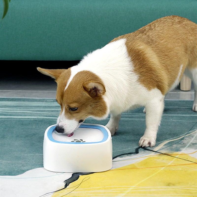 Floating Bowl Water Drinker