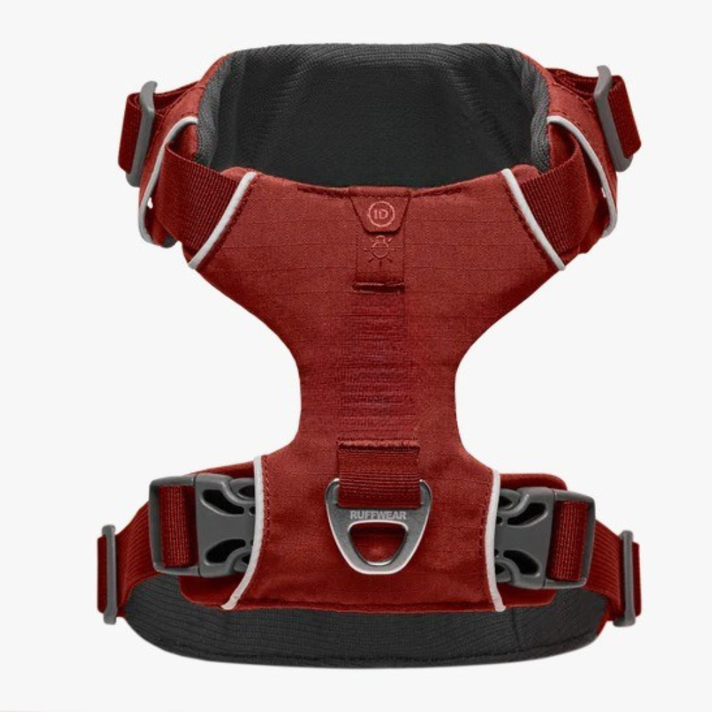 Adjustable Adventure Dog Harness For Outdoor Walking