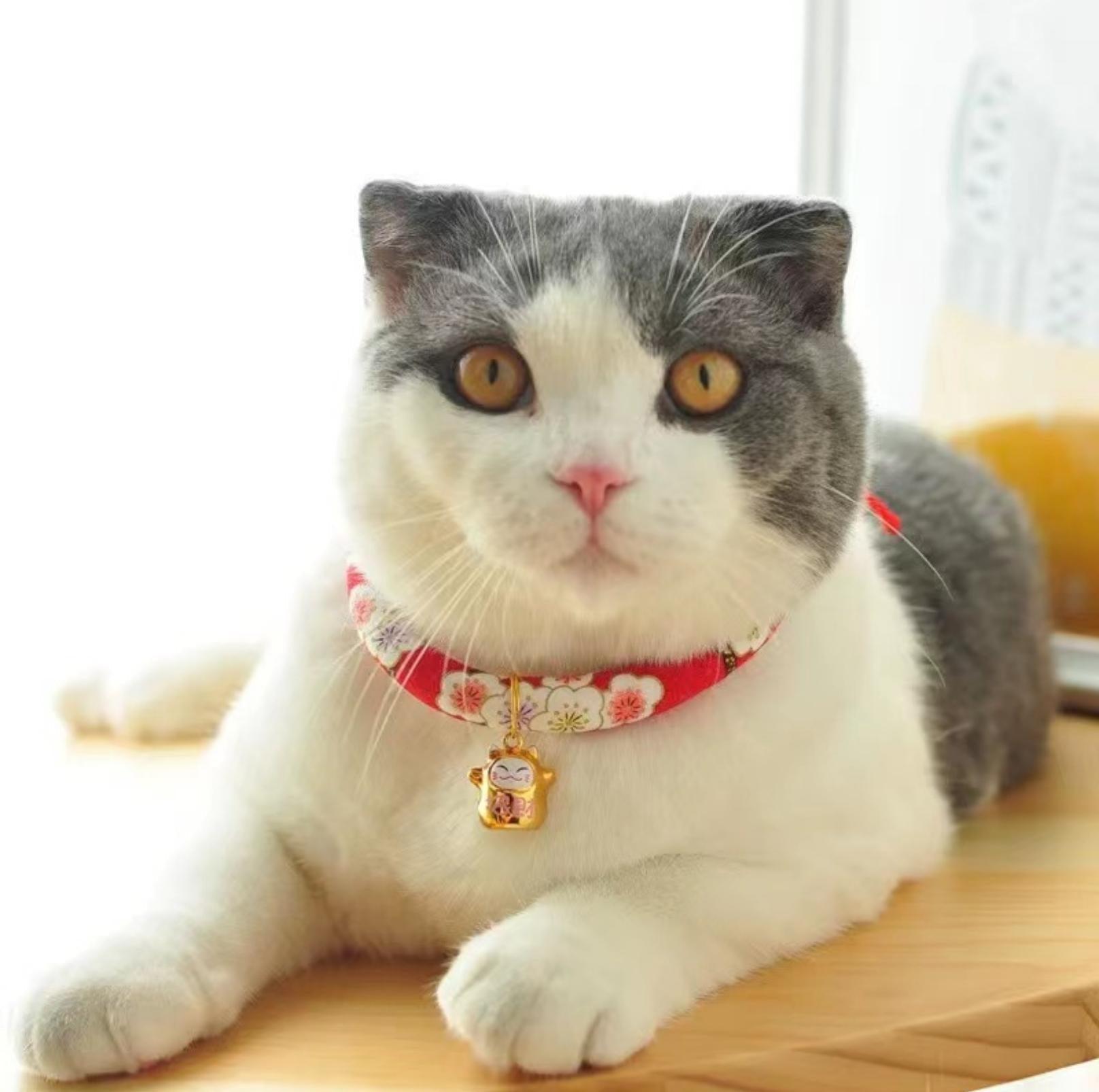 Japanese Style Flower Fusion Pet Collar