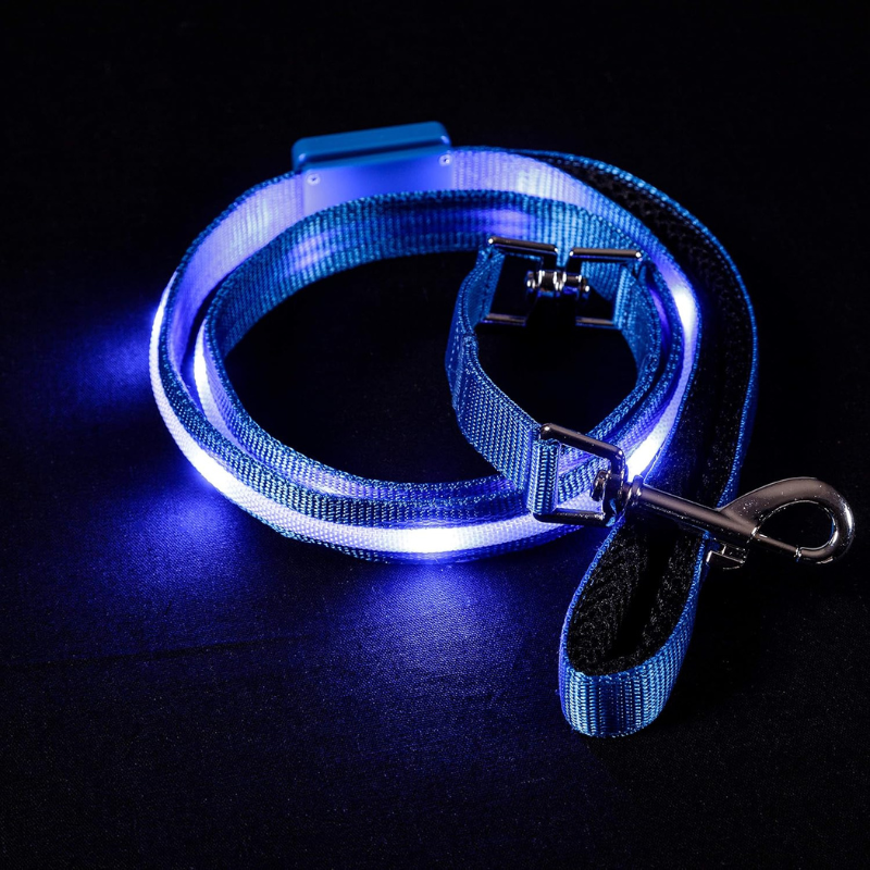Pet Leash With USB Lighting
