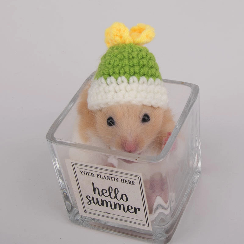 Hamster Hat Parrot Hair Band Photo Small Animal Headdress Handmade Frog Hat Ornaments Hedgehog Headgear Explosions