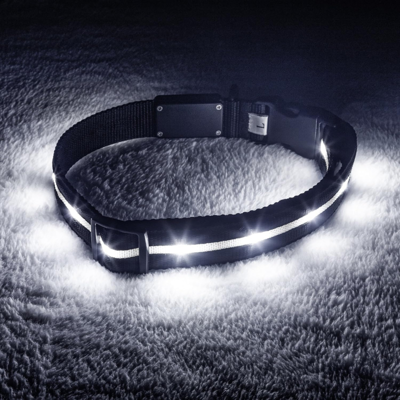 Adjustable Strap Design Dog Leash With LED Lighting