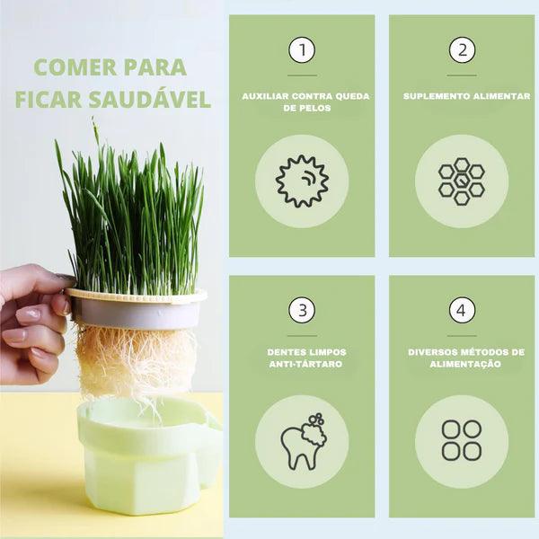 Cat Snack - Compre dois por R$109.85