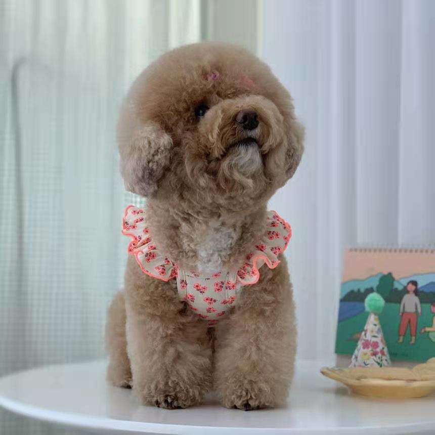 Floral Pattern Strap Dog Cat Vest