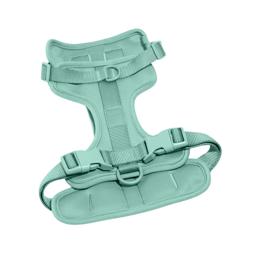 Wild One Dog Harness