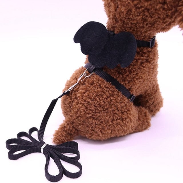 Angel Wing Dog Harness With Leash
