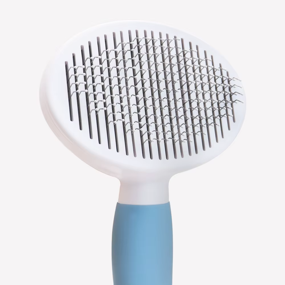Hair removl pet brush with button