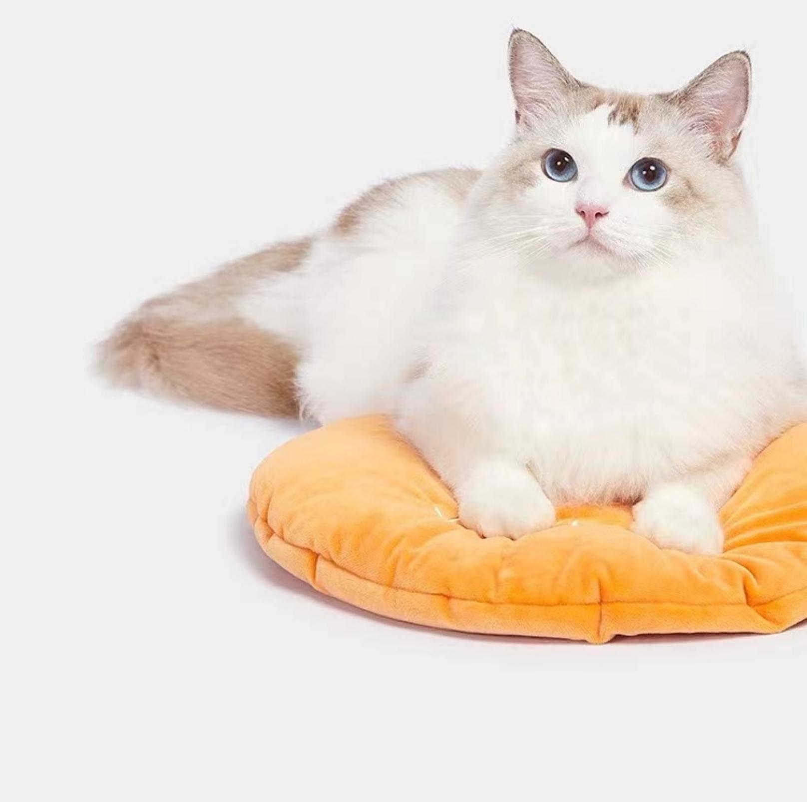 Fortune Orange Rattan Cat Bed With Removable Thick Pad For All Seasons