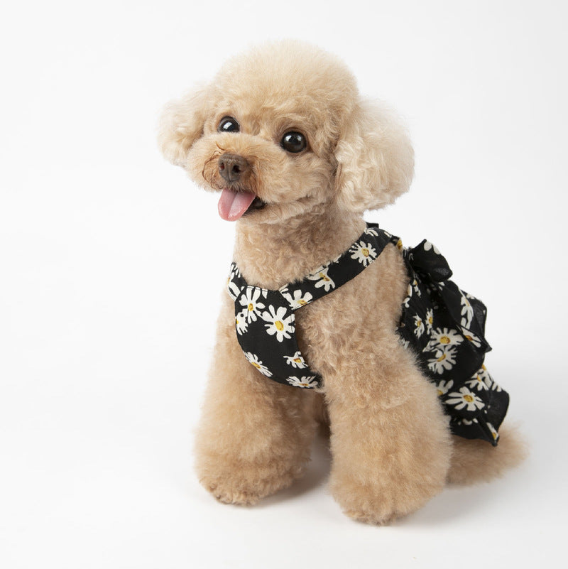 Daisy Printed Dog Cat Chiffon Dress