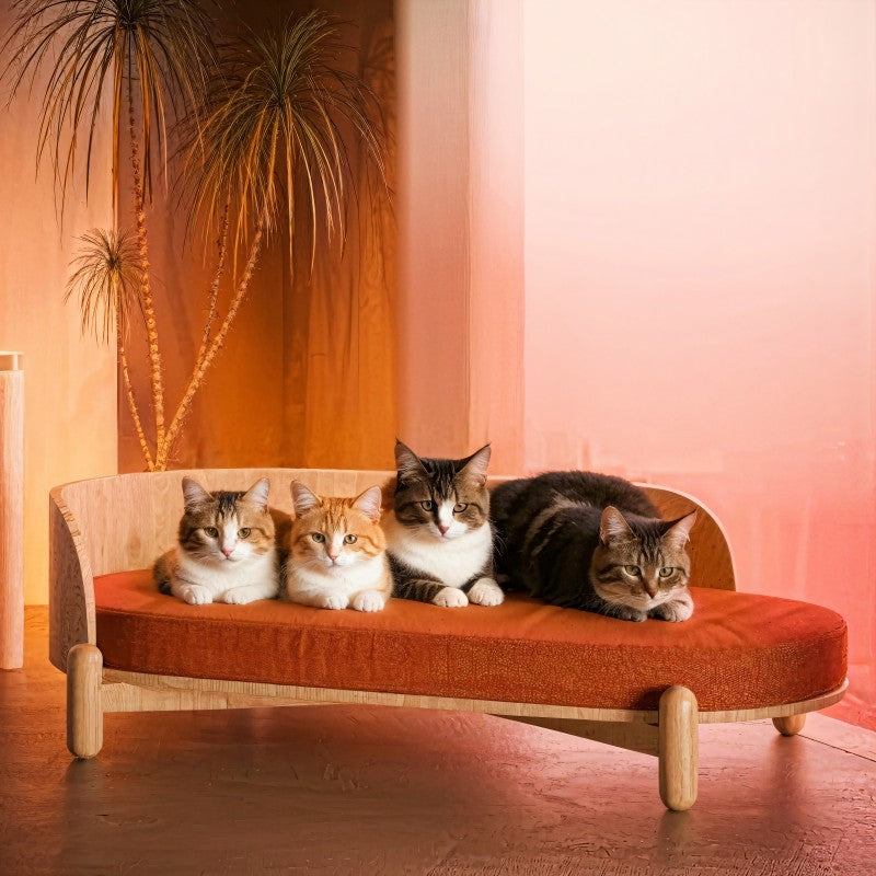 35.9'' Wooden Sunset Cat Couch for Multiple Cats - Stylish Lounge & Play