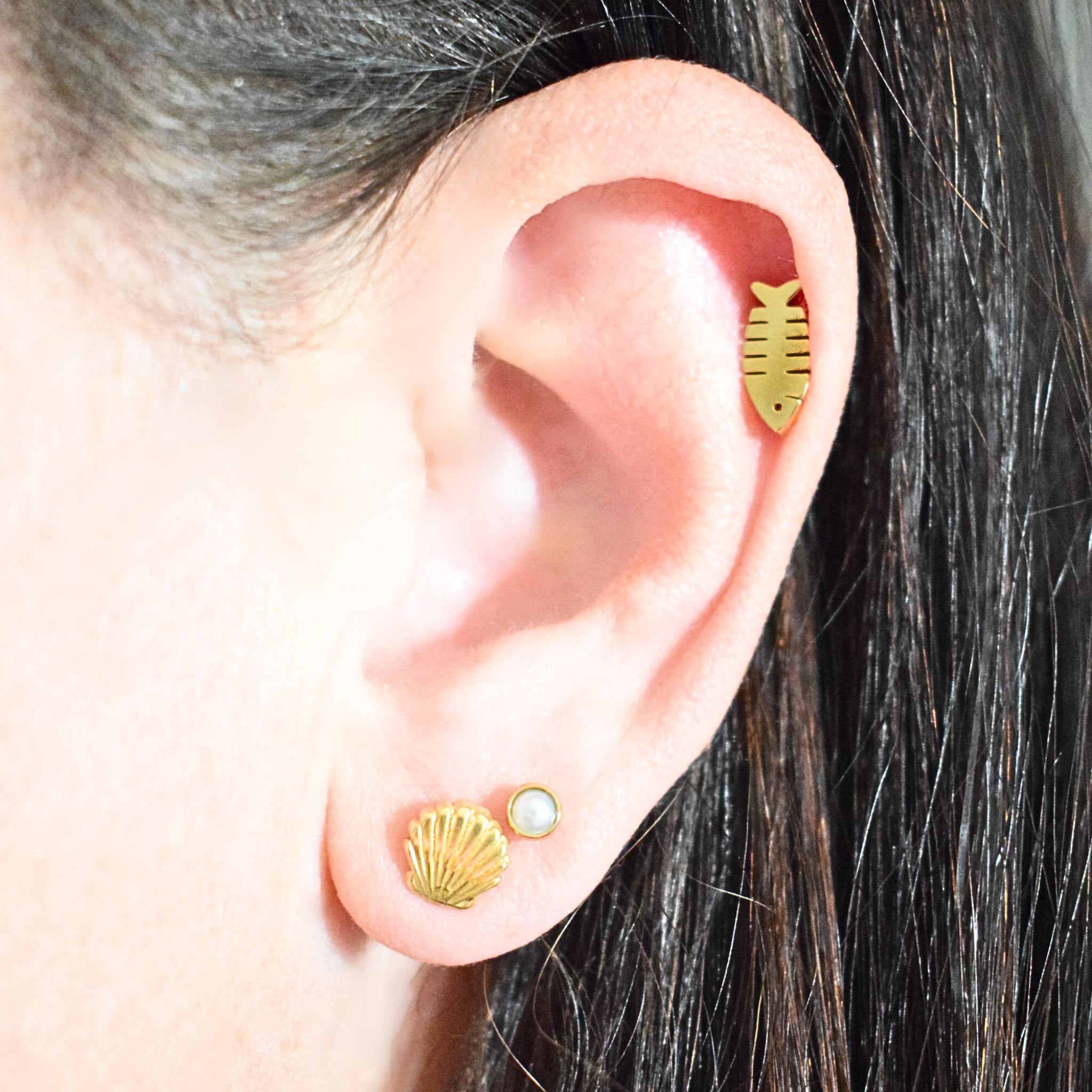 Shell studs - Gold