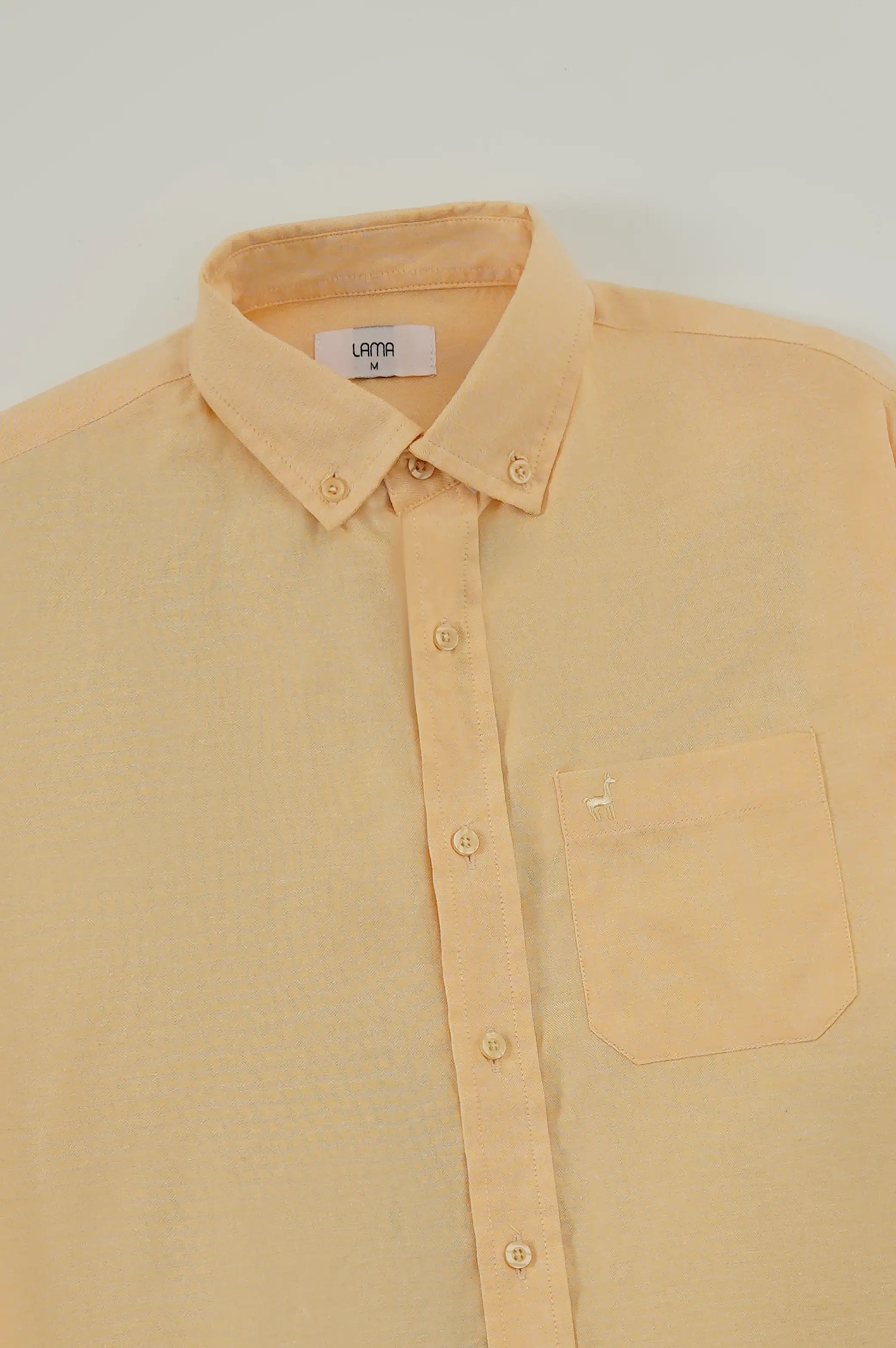 EVERYDAY BUTTON COLLAR SHIRT