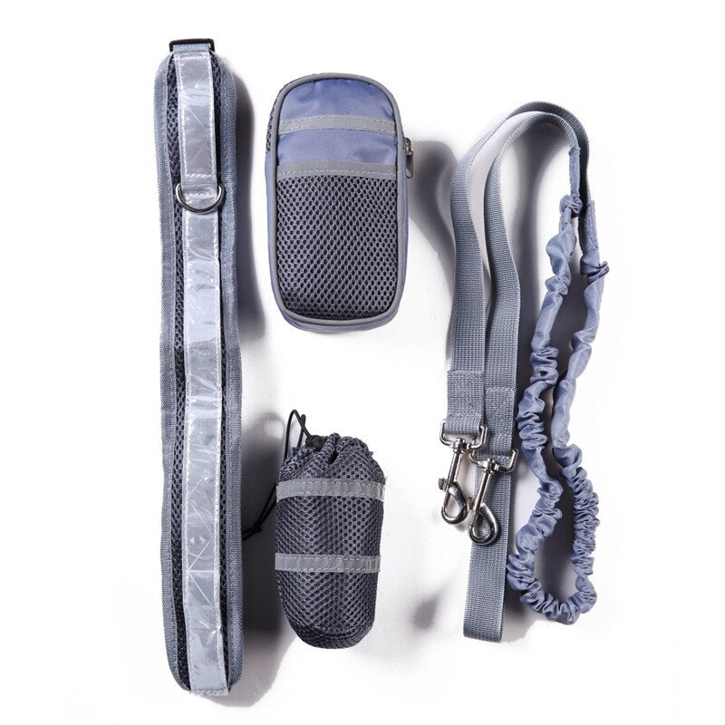 Walking Training Dog Leash Set