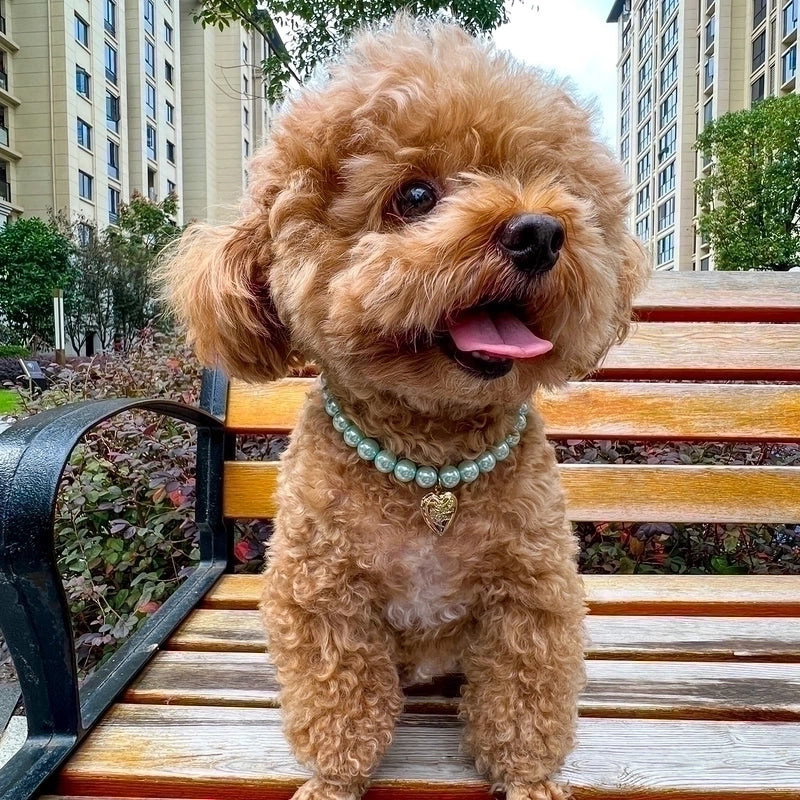 Ig Style Cute Plastic Heart Shape Beaded Pet Collar