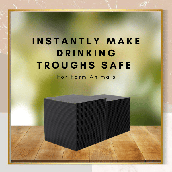 🔥LAST DAY 48% OFF 🔥 Livestock Water Trough Purifier - Buy 2 Free Shipping