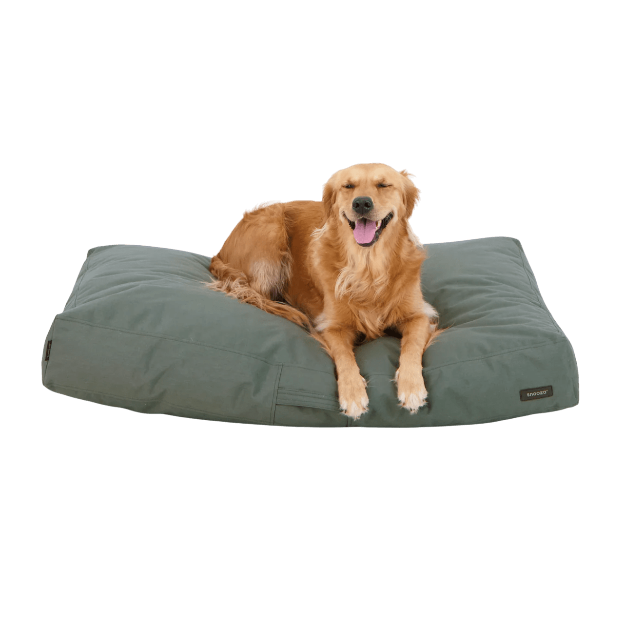 Modern D1000 Outdoor Dog Bed - Eucalyptus